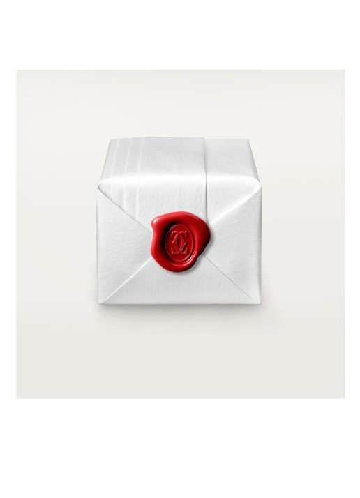 Cartier Juste un Clou ring van 18 karaat witgoud met 22 diamanten CRB4092700 - detail 5 witgoud