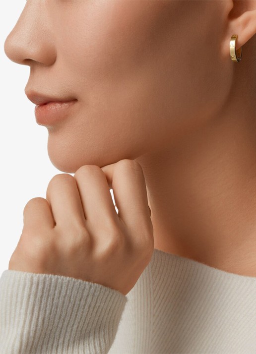 Cartier LOVE oorringen van 18 karaat geelgoud CRB8301499 - detail 4 geelgoud