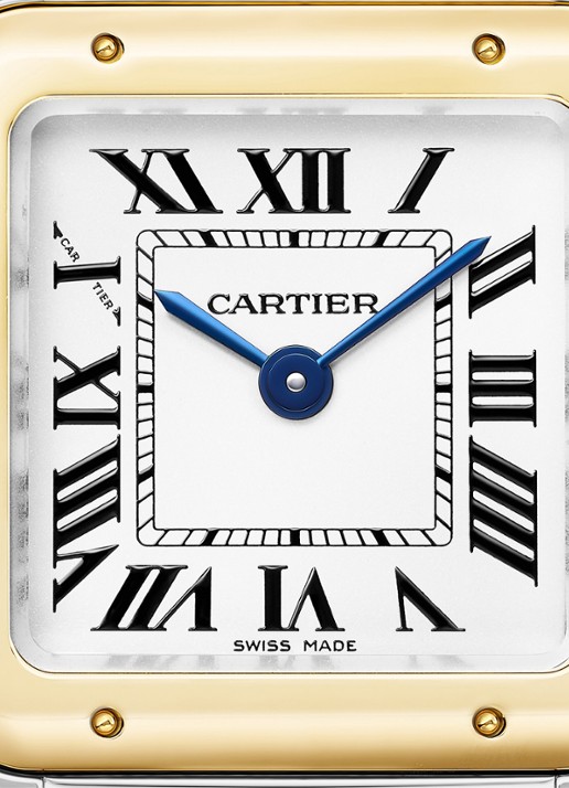 Cartier Panthère de Cartier horloge, klein model van 18 karaat geelgoud en staal CRW2PN0018 - detail zilver