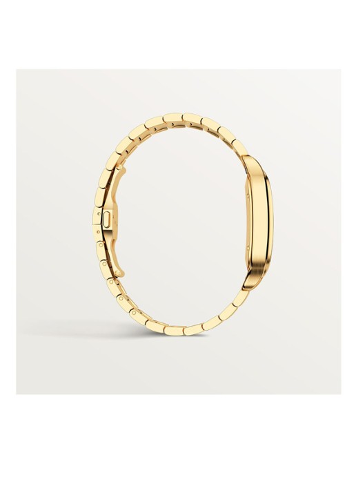 Cartier Santos de Cartier large horloge van 18 karaat geelgoud CRWGSA0042 - detail 5 geelgoud