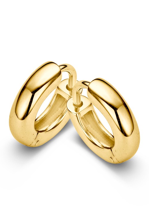 Casa Jewelry Frankfurter oorringen verguld