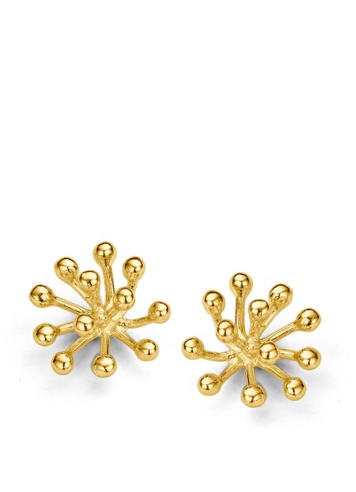 Casa Jewelry Porcu-2 oorknopjes verguld