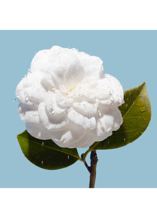 CHANEL HYDRATEREND INTENS VOLLER MAKEND - detail 5 undefined