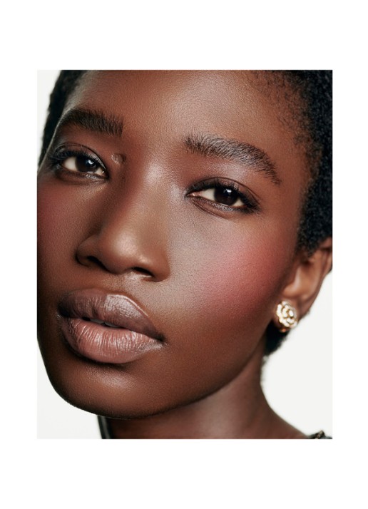 CHANEL POEDERBLUSH - detail 5 71 malice 