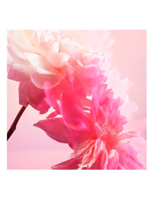 Charlotte Tilbury Calm Bliss Eau de Parfum - detail 4 undefined