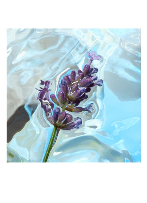 Charlotte Tilbury Calm Bliss Eau de Parfum - detail 4 undefined