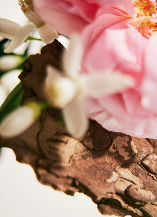 Chloé Signature Naturelle Eau de Parfum  - voorkant 3 undefined