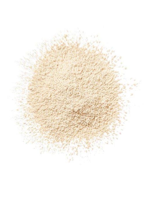 Clinique Blended Face Powder - losse poeder - detail 2 invisible blend