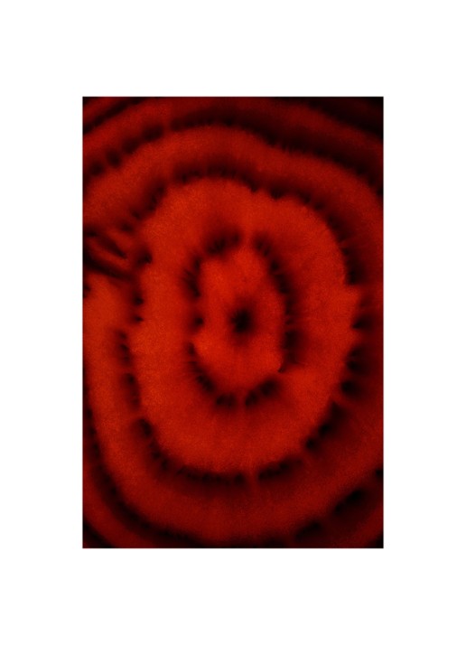 Comme des Garcons Rouge Eau de Parfum - detail 2 undefined
