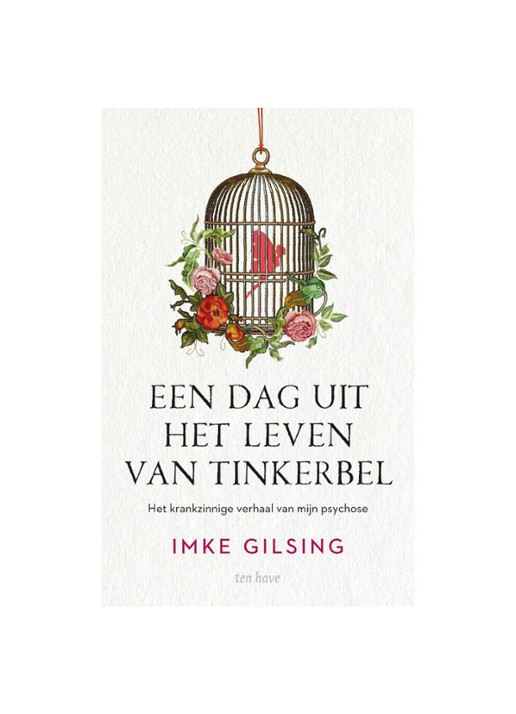 DAG UIT HET LEVEN VAN TINKEBEL - voorkant undefined