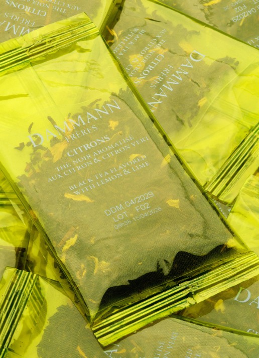 DAMMANN Frères Ice Tea Citrons theezakjes 6 x 30 gram - detail 3 undefined
