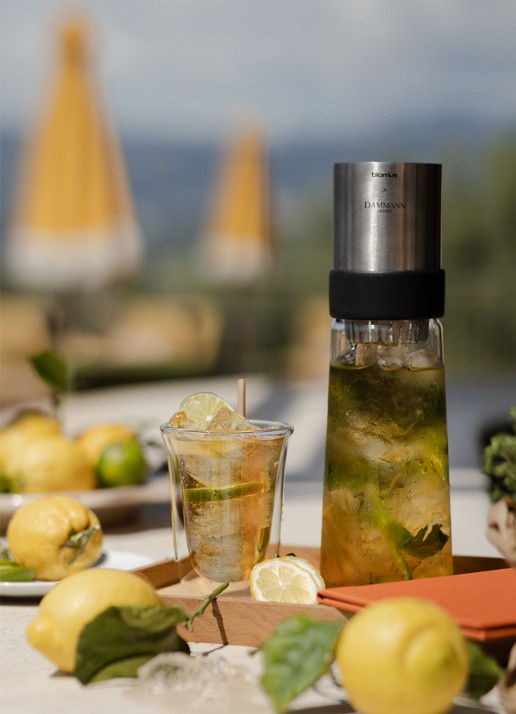 DAMMANN Frères Ice Tea Citrons theezakjes 6 x 30 gram - detail 4 undefined