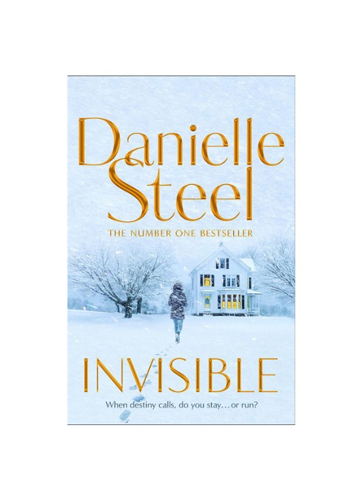 Danielle Steel Invisible