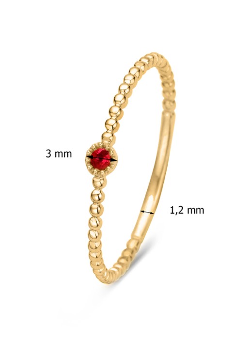 Diamond Point Geelgouden ring 0.04 ct robijn Joy - detail goud