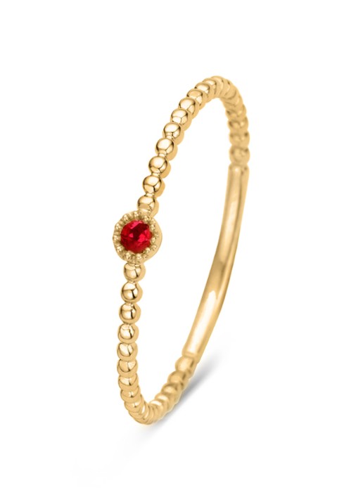 Diamond Point Geelgouden ring 0.04 ct robijn Joy