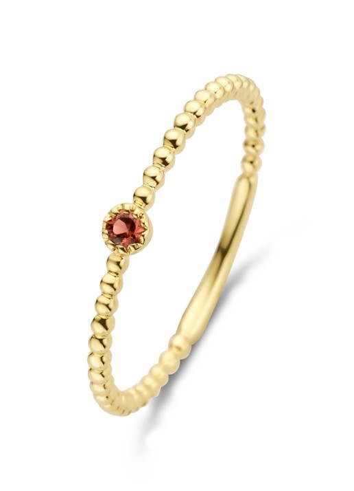 Diamond Point Geelgouden ring 0.05 ct granaat Joy