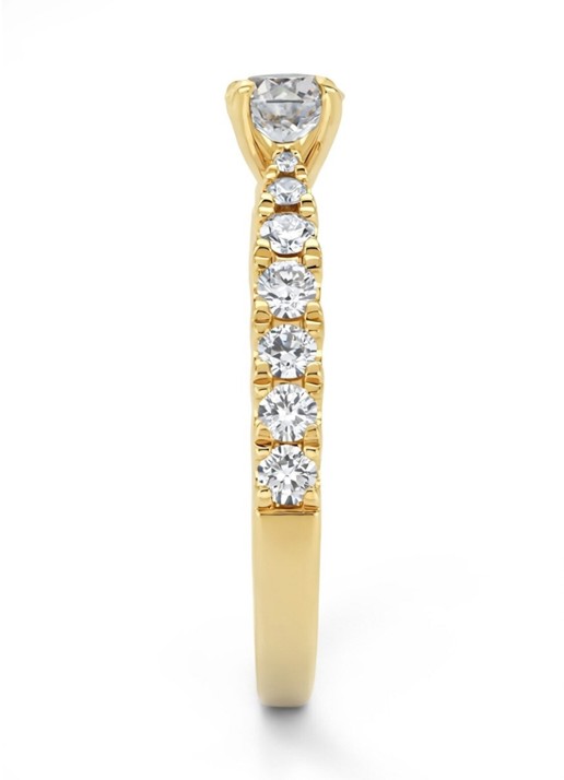 Diamond Point Geelgouden ring, 0.87 ct diamant, Perfect Match - achterkant geelgoud
