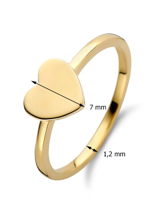 Diamond Point Geelgouden ring Dreamer - detail 2 geelgoud