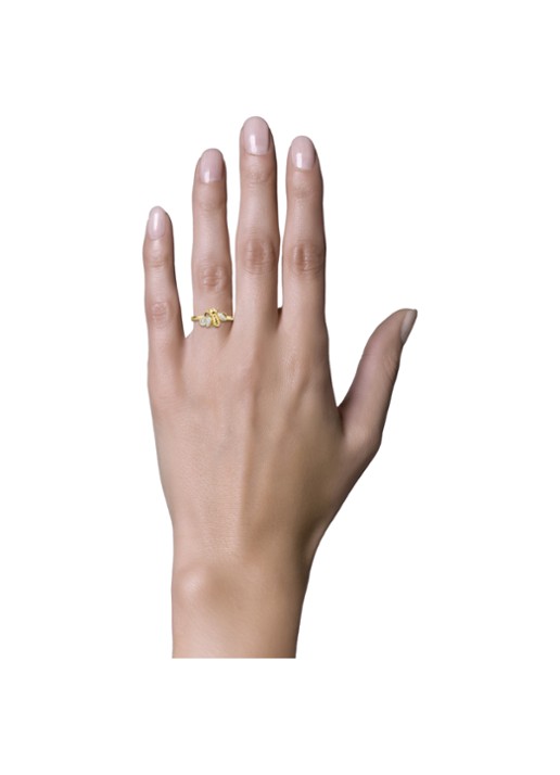 Diamond Point Gouden ring 0.06 ct diamant Queen Bee - detail 2 goud