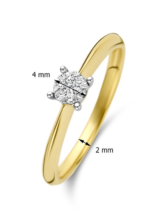 Diamond Point Gouden ring 0.10 ct diamant Enchanted - detail 3 goud