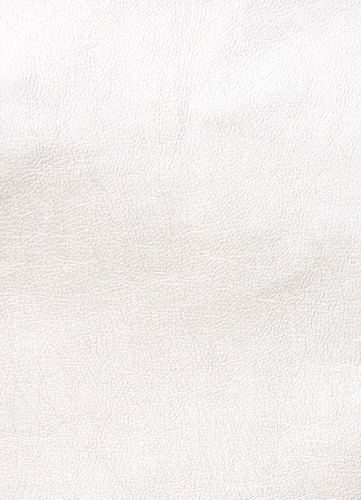 Diesel J-Thome jack met ritszakken en metallic finish - detail 5 zilver