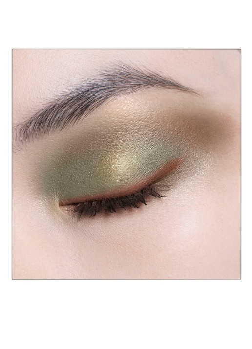 DIOR Diorshow 5 Couleurs - Oogschaduwpalette - detail 2 343 khaki
