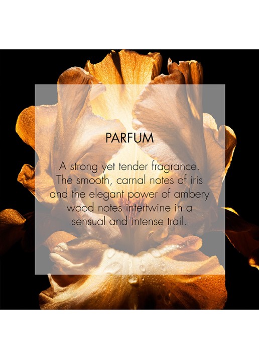 DIOR Homme Parfum - detail 8 undefined