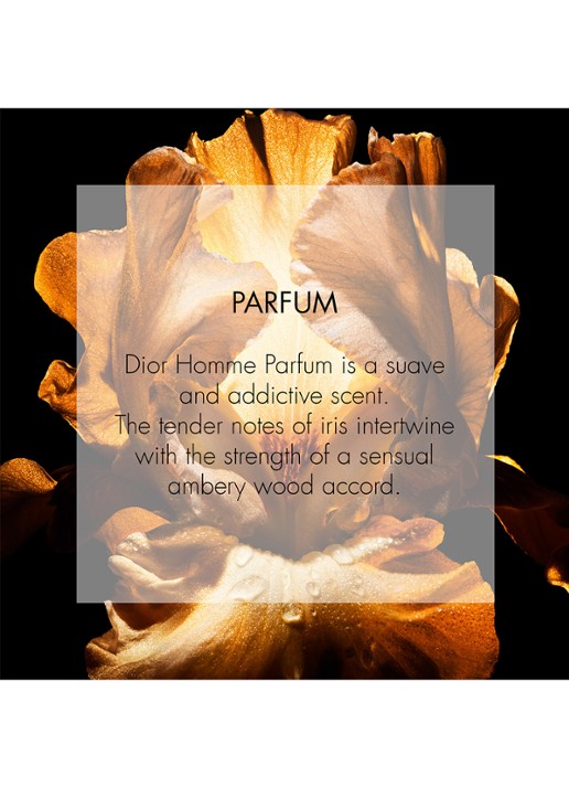 DIOR Homme Parfum - detail 5 undefined