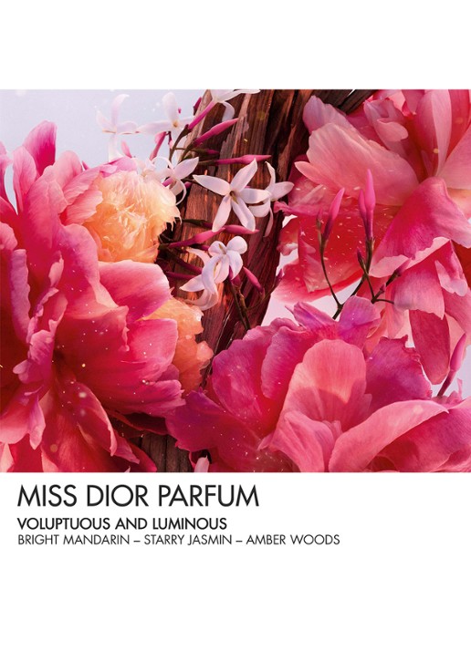 DIOR Miss Dior Parfum Roller-Pearl - detail 6 undefined