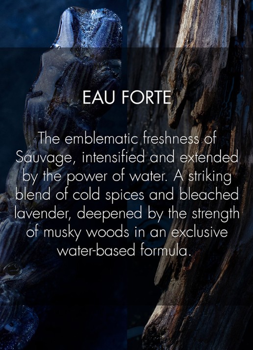 DIOR Sauvage Eau Forte - Parfum - detail 7 undefined