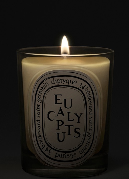 DIPTYQUE Eucalyptus Classic geurkaars 190 gram - voorkant 2 beige