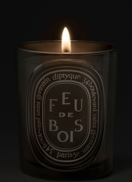 DIPTYQUE Feu de Bois geurkaars 300 gram - voorkant 2 beige