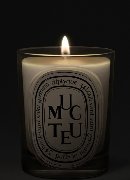 DIPTYQUE Muguet Classic geurkaars 190 gram - voorkant 4 beige