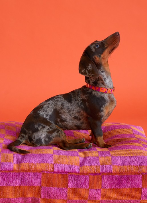 DOGGUO Block hondenmand met print 105 x 65 cm - voorkant 2 donkerroze
