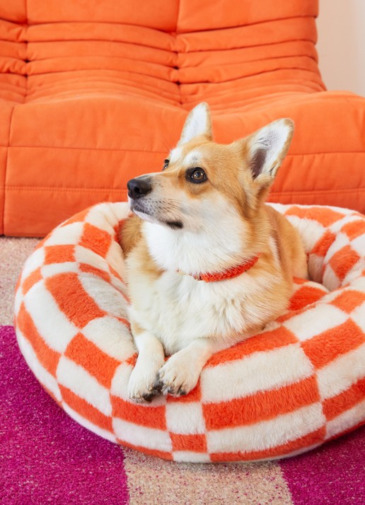 DOGGUO Block hondenmand met print 50 x 50 cm - voorkant 2 orange
