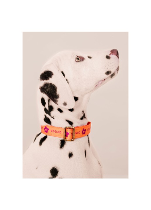 DOGGUO Flower collar M halsband voor honden 36 x 52 cm - detail 3 orange