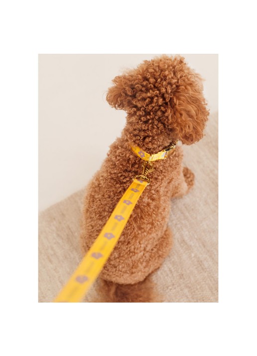DOGGUO Flower collar M halsband voor honden 36 x 52 cm - detail 4 geel