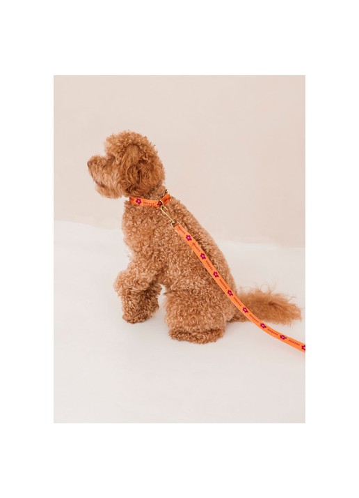 DOGGUO Flower leash hondenriem 200 cm - detail 6 orange