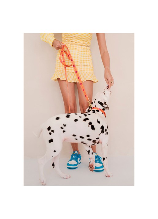 DOGGUO Flower leash hondenriem 200 cm - detail 7 orange
