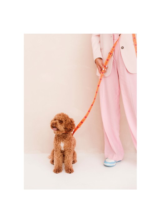 DOGGUO Flower leash hondenriem 200 cm - voorkant 2 orange