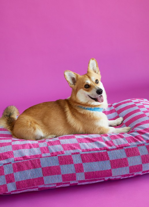 DOGGUO Hondenmand met print 85 x 55 cm - voorkant 2 roze
