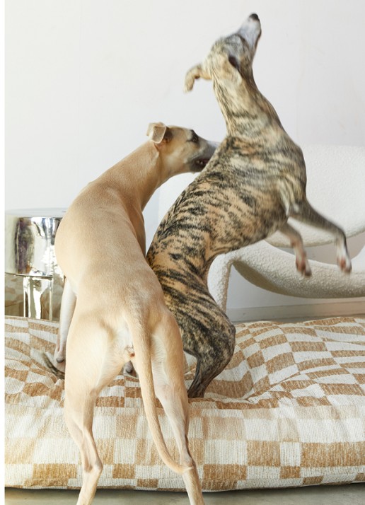 DOGGUO Hondenmand met ruitdessin 65 x 105 cm - voorkant 2 beige