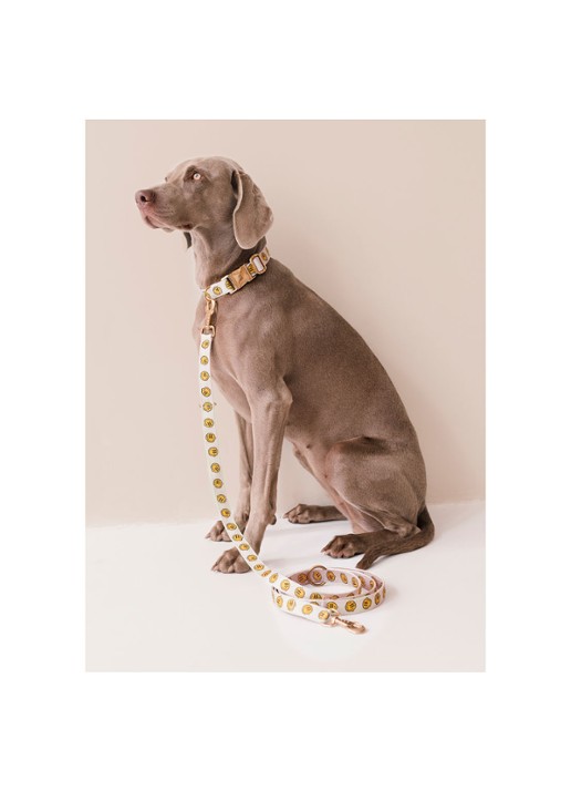 DOGGUO Smiley leash hondenriem 200 cm - voorkant 2 beige