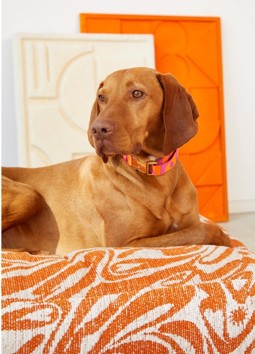 DOGGUO Swirl hondenmand met print 105 x 65 cm - voorkant 2 orange
