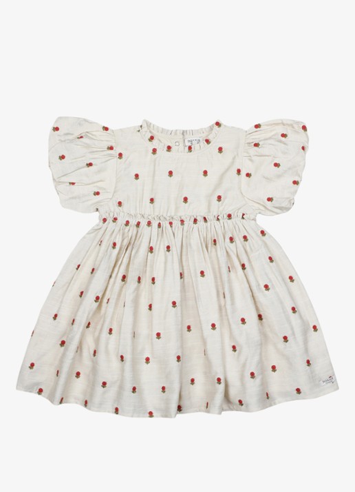 Donsje Amsterdam Camilla Red Roses mini jurk met bloemenprint