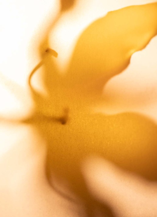 Donsje Amsterdam Geurspray 250 ml - detail 4 undefined