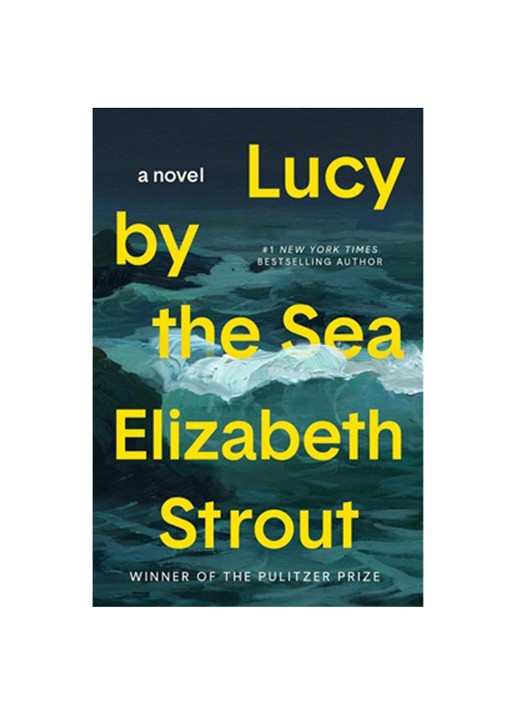 Elizabeth Strout STROUT E LUCY BY THE SEA