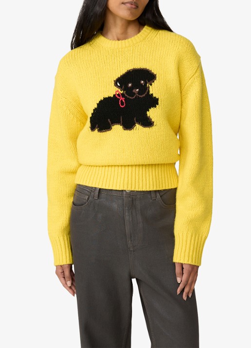 Fabienne Chapot Dog grofgebreide pullover van wol