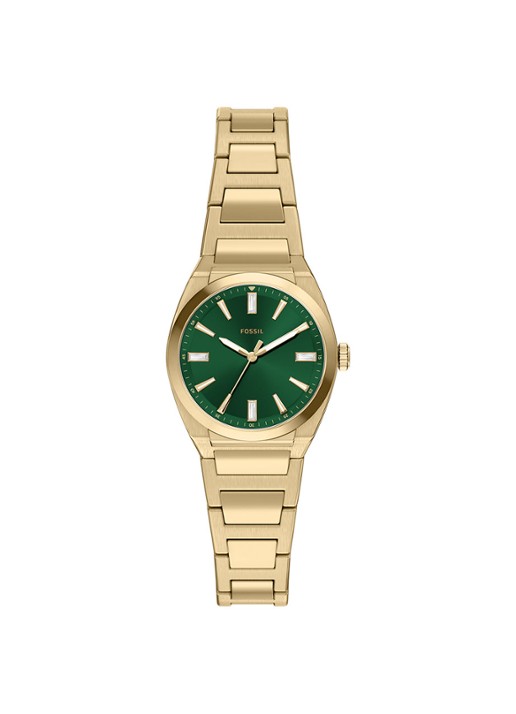 Fossil Everett horloge ES5493