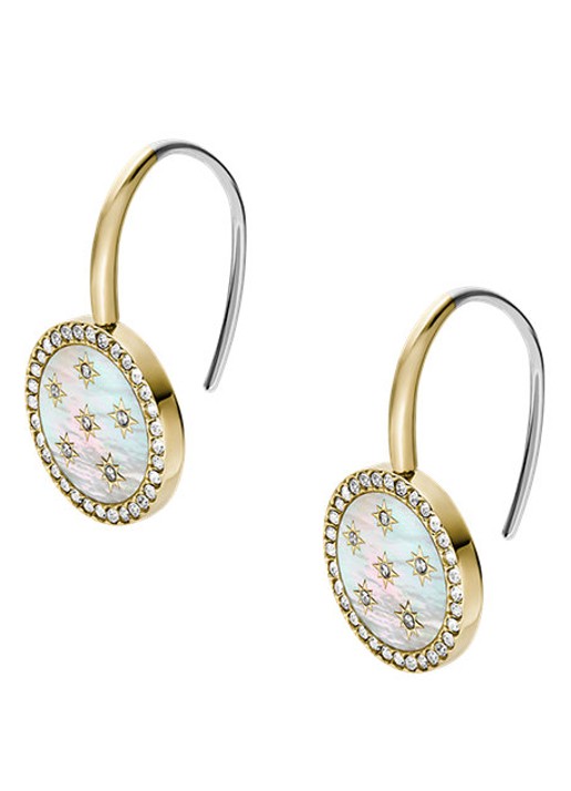 Fossil Jewelry oorhangers JF04867710 - detail 3 goud